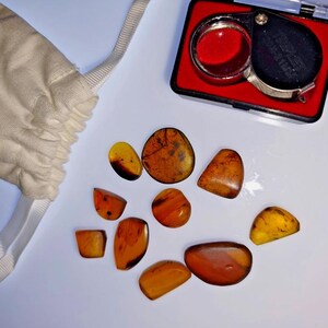Genuine Amber - 10x Random Pieces Bundle - Guaranteed Inclusions - Fossil Burmese Amber Insect Inclusion