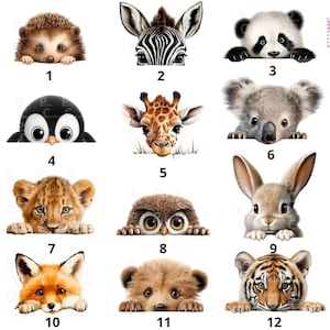 Pode incluir: Uma coleção de doze ilustrações em aquarela de animais, incluindo um ouriço, uma zebra, um panda, um pinguim, uma girafa, um coala, um filhote de leão, uma coruja, um coelho, uma raposa, um filhote de urso e um filhote de tigre. Cada animal é retratado do peito para cima.
