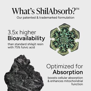 May include: An informational graphic titled What's ShilAbsorb? featuring a dark, textured rock-like substance and a green, hexagonal cross-section illustration. Text highlights 3.5x higher bioavailability than standard shilajit resin.