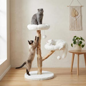 May include: A white ceramic mug with a black handle and the text "But First, Coffee" in a black, bold font. The mug is on a white surface. The mug is approximately 4 inches tall.