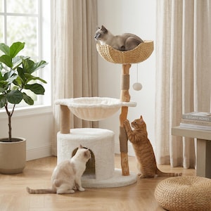 Könnte beinhalten: Ein mehrstöckiger Katzenbaum mit einer geflochtenen Korbplattform, einer Plüschhängematte und einem Versteck. Der Baum besteht aus Holz und ist mit einem weichen, weißen Material bedeckt. Zwei Katzen interagieren mit dem Baum, während eine andere im Korb ruht.