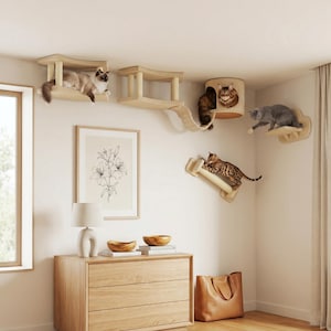 Könnte beinhalten: Ein wandmontiertes Katzenspielset mit mehreren Holzplattformen, einem Tunnel und einer Rampe. Mehrere Katzen nutzen die Strukturen. Das Set ist aus hellfarbigem Holz gefertigt und an einer weißen Wand installiert.