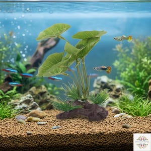 Fake fish tank - Etsy sterreich