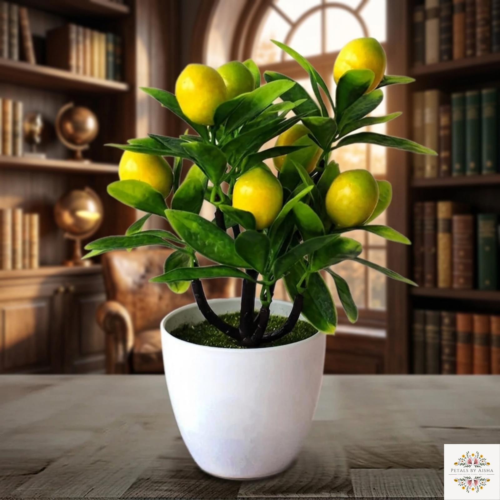 Bonsai lemon tree - Etsy.de