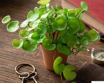 Buquê de grama artificial em formato de moeda de cobre, 15 cm de folhagem artificial, planta decorativa pequena.