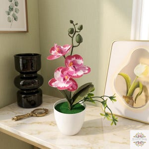 May include: A potted artificial orchid with pink and white flowers. The orchid is in a white pot with green faux moss. The image also includes a black vase, a decorative magnifying glass, and a framed picture of a tulip.