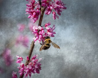 8x12 Print Bumble Bee and Spring Flowers