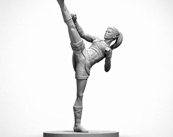 Half Elf Female Monk 3D Printed Fantasy Miniature, 28mm 32mm DnD Miniature, Tabletop RPG Character, Gift for DnD Player