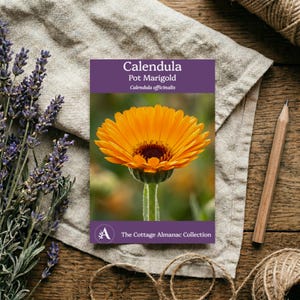 Calendula Seed Packet Template | Vintage Botanical Flower Garden (Digital Download)