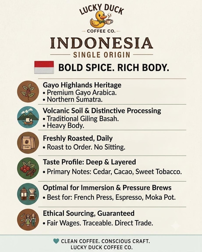 Indonesian Single Origin Coffee Beans | Light Roast, Earthy Notes (Whole Bean) image 4
