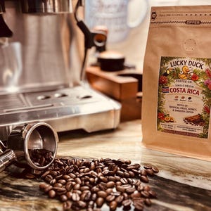Costa Rica Single Origin kaffebönor | Mellanrostade Arabica, tropisk frukt, honung, kakao