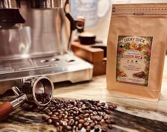 Costa Rica Single Origin Coffee Beans | Medium Roast Arabica, Tropical Fruit, Honey, Cocoa