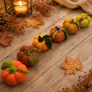 Puede incluir: Un conjunto de seis pequeñas calabazas tejidas, redondas, en varios tonos de naranja, amarillo y verde. Cada calabaza presenta una superficie acanalada, un tallo de ganchillo verde oscuro y pequeñas hojas verdes unidas a la parte superior.