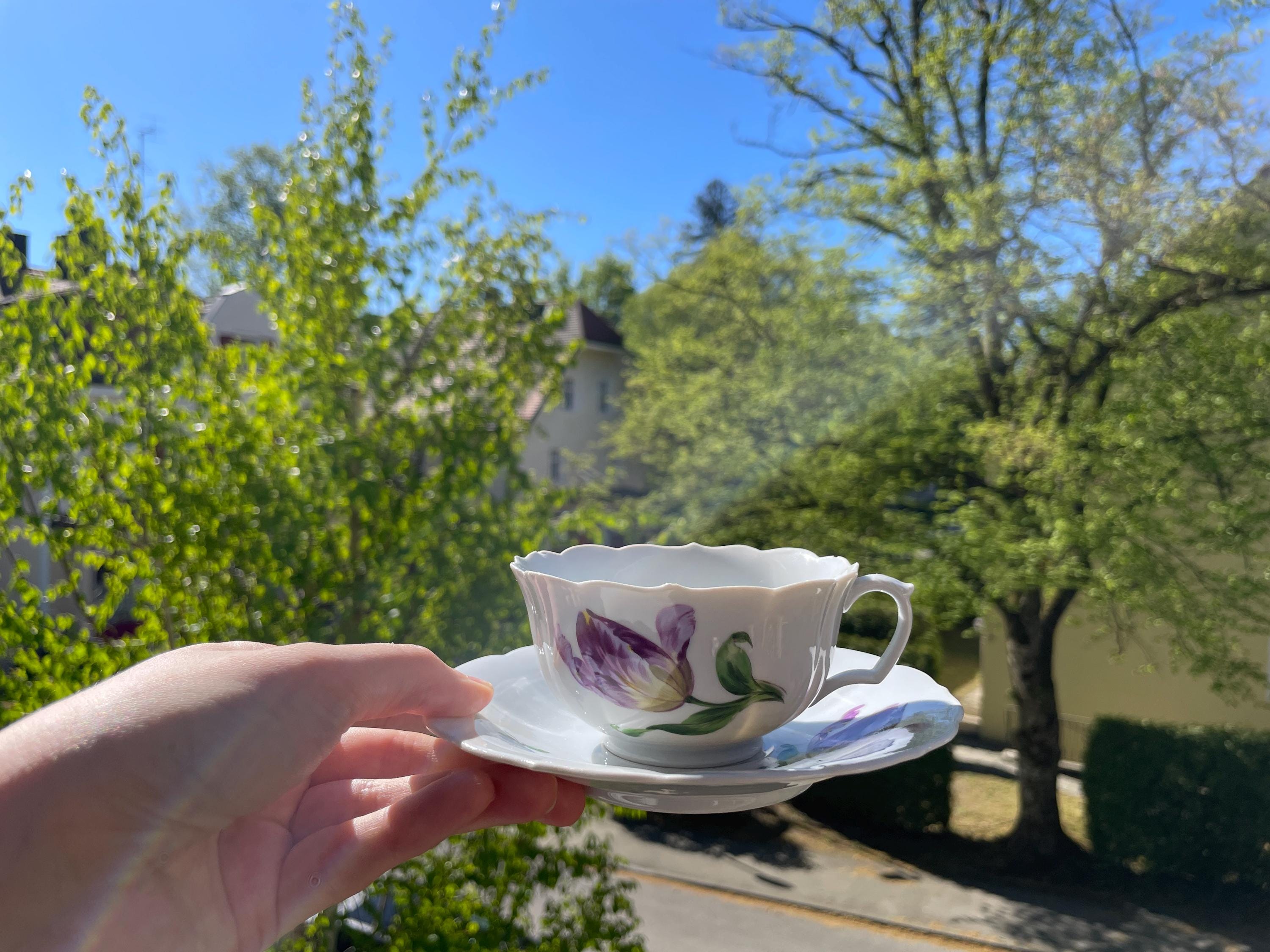 Meissen tea cup - Etsy 日本
