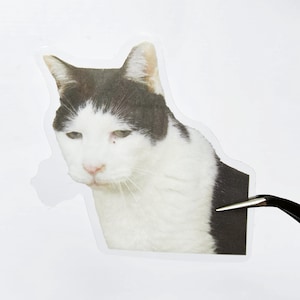 Klare HAUSTIER Sleazy Katze Aufkleber für Journaling, wasserdichte Kätzchen-Abziehbilder (Scrapbooking)