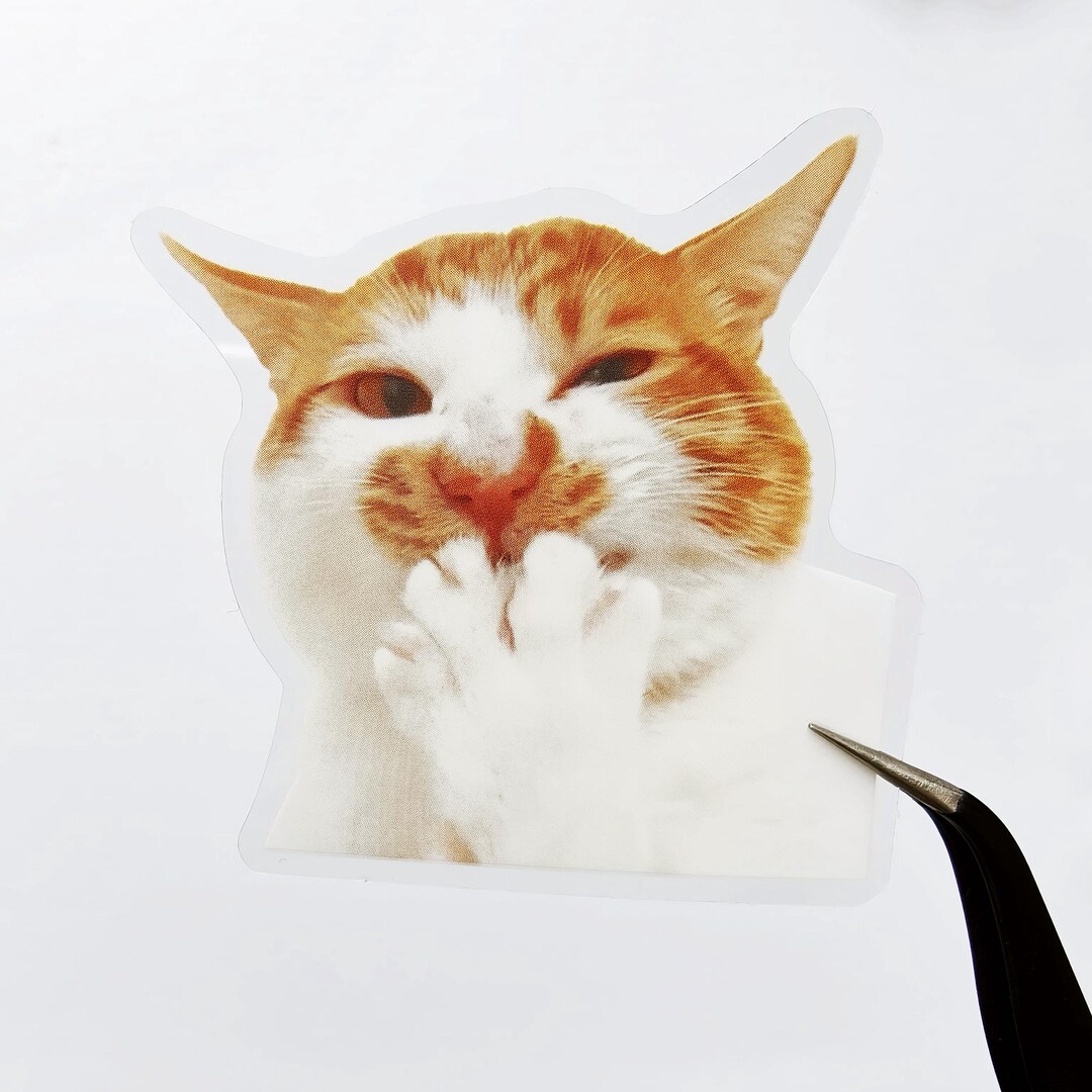 Clear PET Smirking Cat Stickers for Journaling, Waterproof Kitten ...