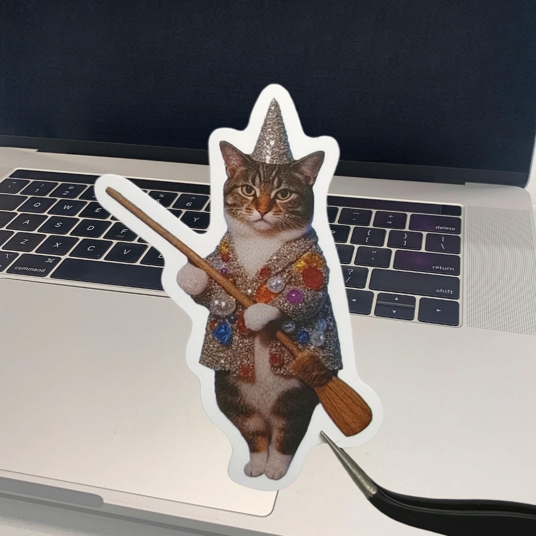 Funny Cat Sticker, Waterproof Vinyl Decal for Laptops, Water Bottles - Etsy