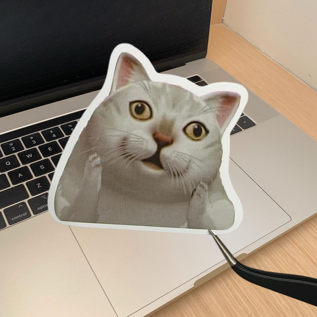 Funny Cat Stickers, Waterproof Vinyl Decals for Laptops, Water Bottles ...