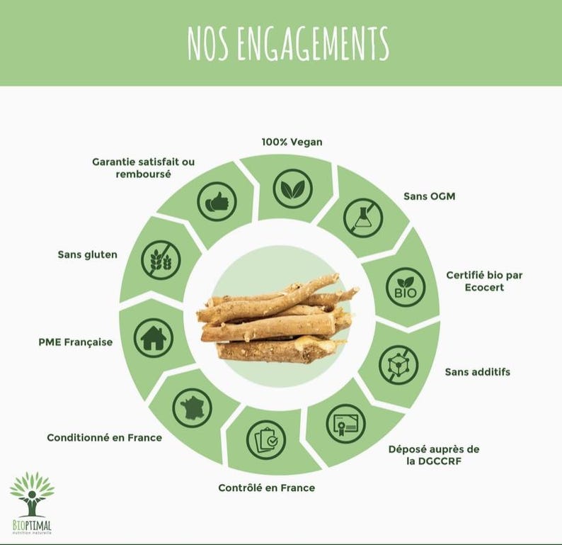Bio-Ashwagandha-Pulver – Natürliches Superfood zum Stressabbau und zur Energiegewinnung für Ihren Körper Bild 3
