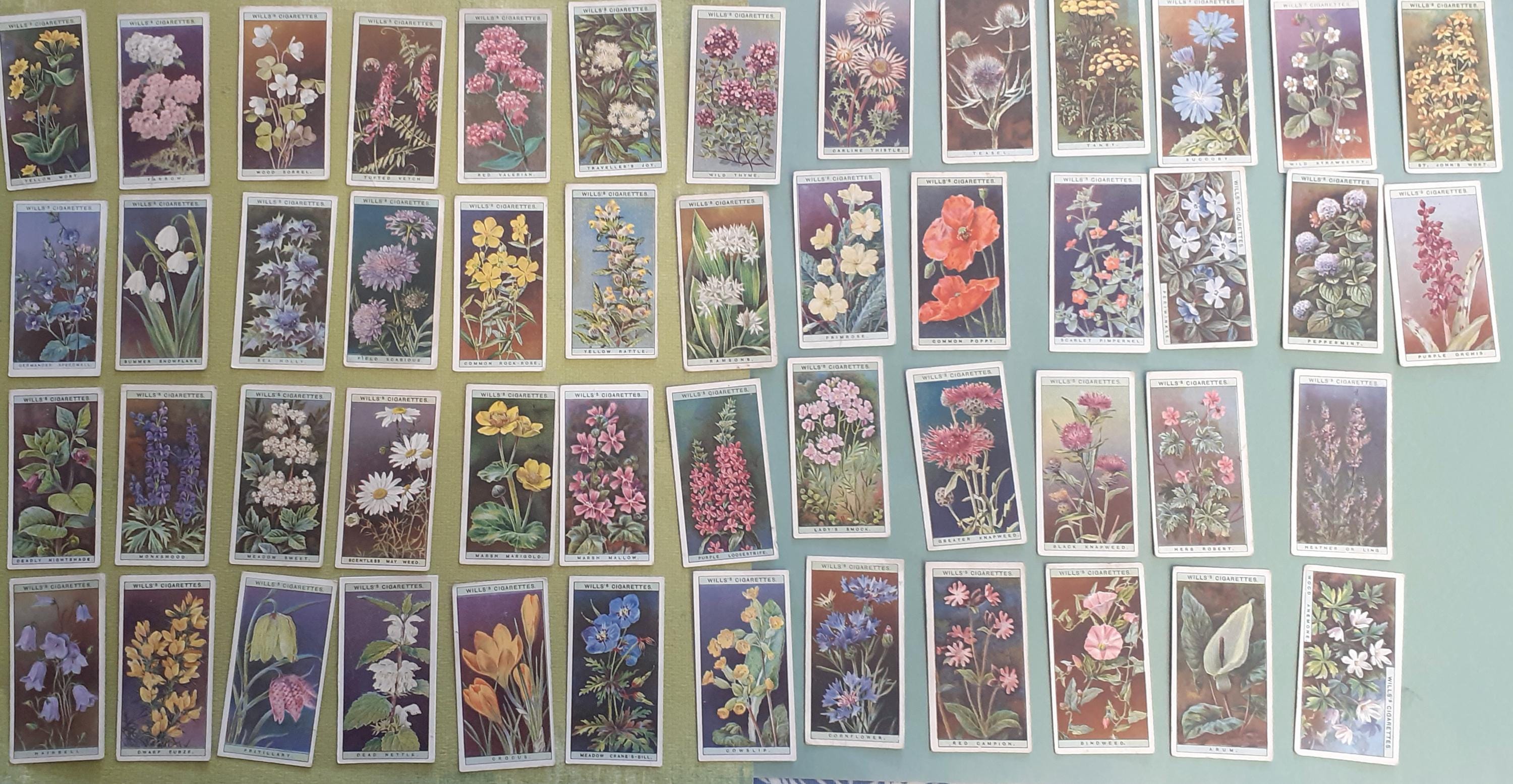 rare cigarette cards A History of and Trade Cards: The Magic Inside the Packet: 9781526721747: Broom, John: Books A rare original Taddy's prototype