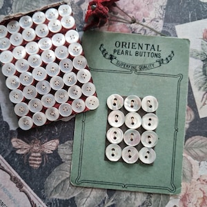 May include: A collection of round, white, iridescent pearl buttons. One group is arranged in a rectangular grid on a red backing, while a smaller group of twelve buttons is attached to a green card labelled ORIENTAL PEARL BUTTONS SUPERFINE QUALITY.