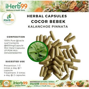 Può includere: Immagine di capsule a base di erbe etichettate "COCOR BEBEK KALANCHOE PINNATA". Le capsule sono di colore verde chiaro e sono sparse nell'immagine. L'immagine include anche testo sulla composizione e l'uso suggerito delle capsule.