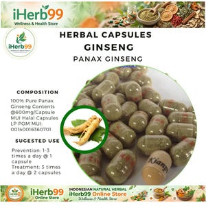 Op de afbeelding: Afbeelding van kruidencapsules met het label "Ginseng Panax Ginseng". De capsules zitten in een transparante behuizing, gevuld met een groen poeder. De afbeelding bevat ook tekst over de samenstelling en het voorgestelde gebruik van de capsules.