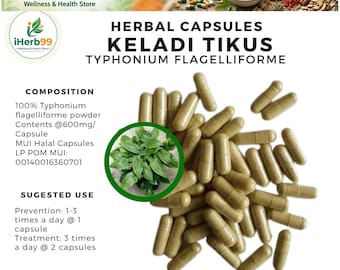 Cápsulas de tubérculo de roedor orgánico puro (Typhonium Flagelliforme): suplemento herbal silvestre de Indonesia
