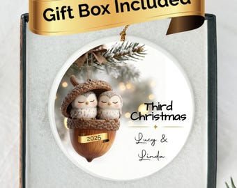 First Christmas Twin Baby Owl Ornament Personalized Otter Keepsake Custom 1st, 2nd, 3rd, 4th or Twenty-First Xmas New Parent Gift