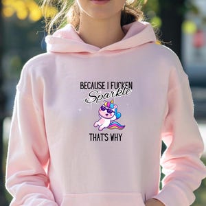Funny Unicorn Hoodie Sweatshirt Unicorn Lovers Hoodie Cuz I Sparkle Shirt Sarcastic Shirt Sweary Shirt Fantasy Animal Hoodie