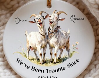 Best Friend Christmas Ornament, Funny Goat Ornament, We’ve Been Trouble Since Dial Up, Custom Names XMas Gift