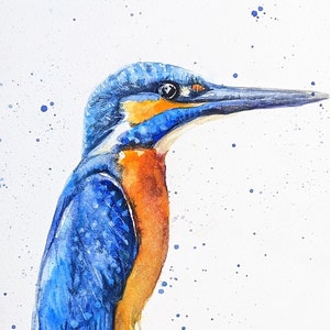 Martin pescatore che dipinge uccelli selvatici ad acquerello originali