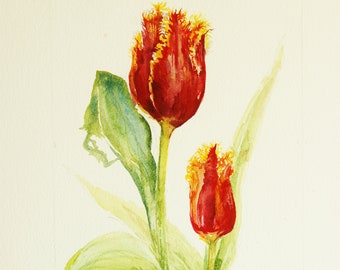 Red Tulip painting original watercolor Fabio fringed Valentine