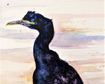 Shag seabird watercolor painting original