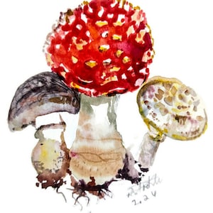 Fly agaric mushroom painting original watercolor