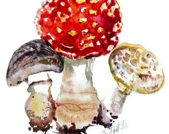 Fliegenpilz Pilz Malerei original Aquarell