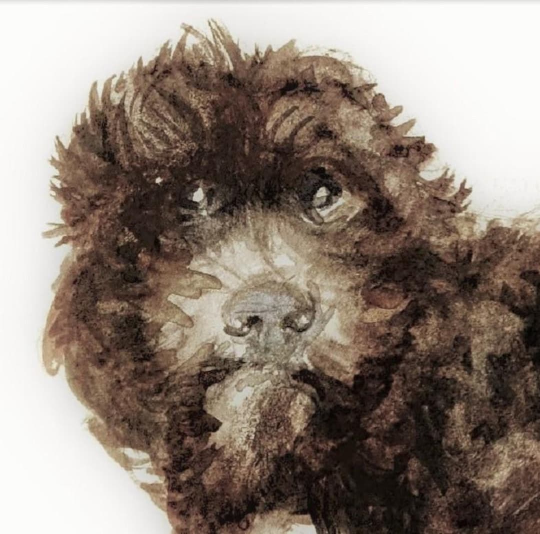 Cockapoo Pyrography Cockapoo Dog Painting Original Watercolor - Etsy