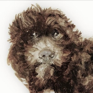 Puede incluir: Pintura acuarela de un perro marrón con pelo rizado. El perro está mirando directamente al espectador con una expresión suave. La pintura está hecha en tonos marrones y grises.