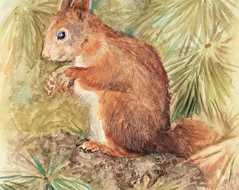 Red Squirrel painting original watercolor