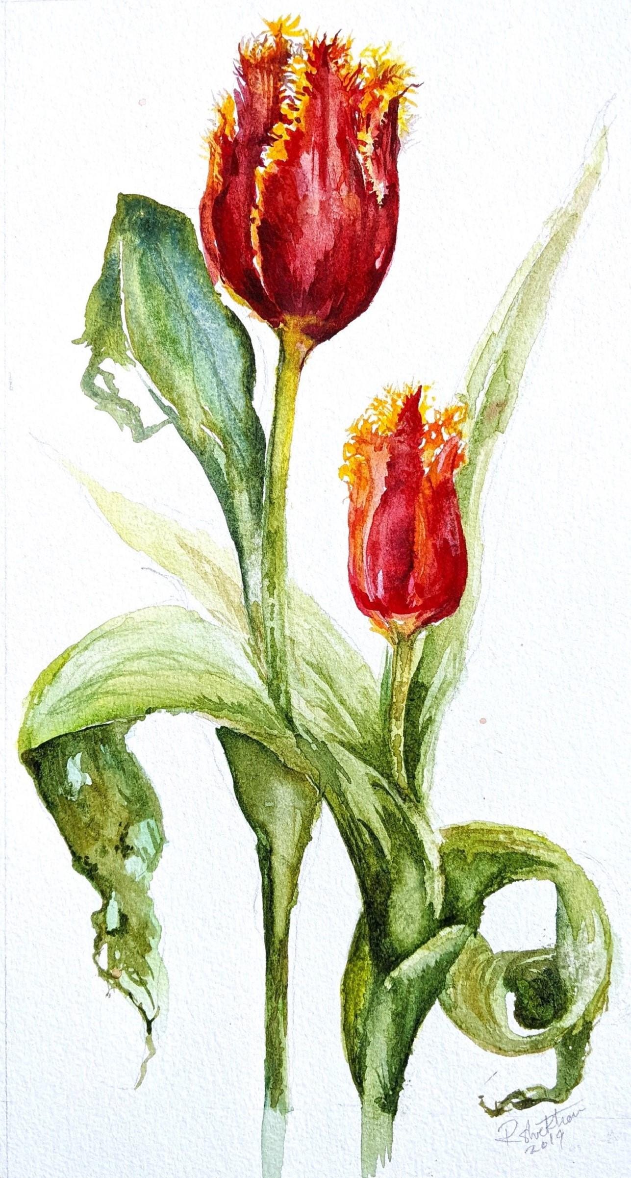 Red Tulip painting original watercolor Fabio fringed Valentine