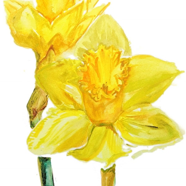 Daffodil painting original watercolor