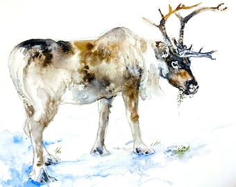 Reindeer painting original watercolor