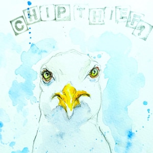 Seagull painting original watercolor humourous art