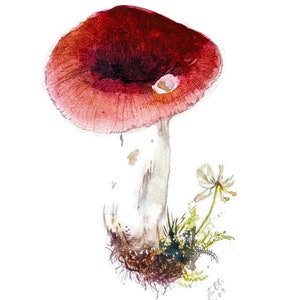 Mushroom painting original watercolor Crab Brittlegill