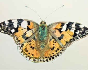 Painted Lady butterfly painting original watercolor