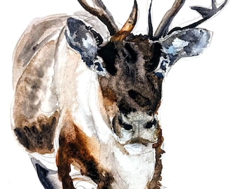 Reindeer painting original watercolor