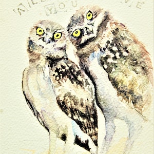 Owl watercolor painting original humourous valentine