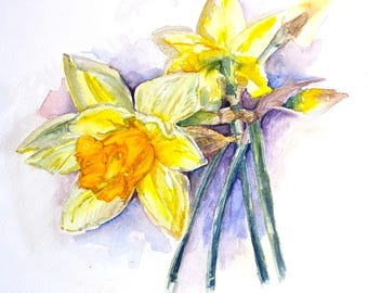 Daffodil flower painting watercolor original