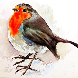 Robin Redbreast maluje oryginalną akwarelą
