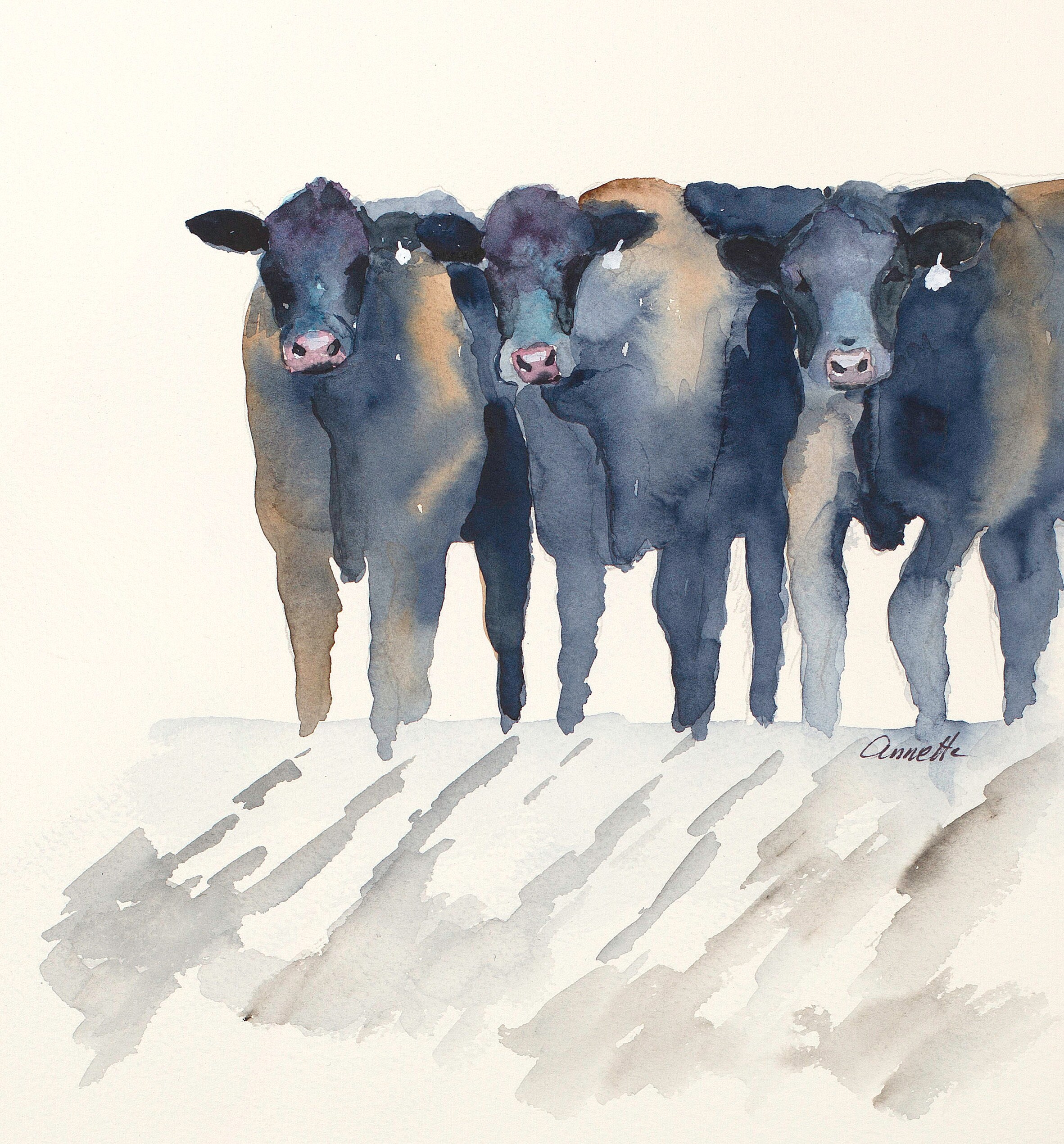 angus cow canvas wall decor cow wall art farm art canvas print Etsy